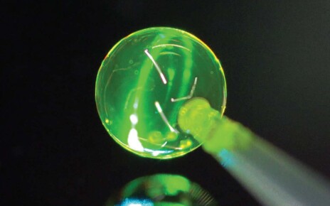 Tiny lasers can be made from soap bubbles
