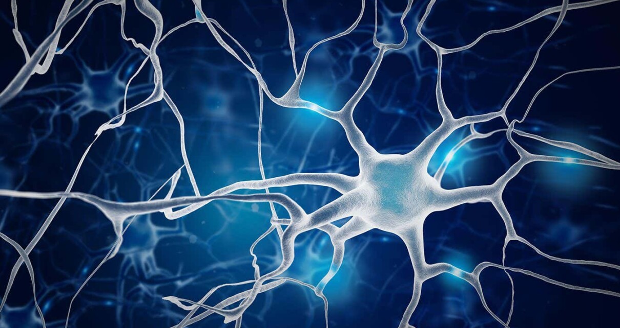 Vagus nerve stimulation may help treat drug addiction