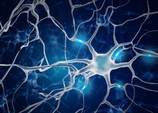 Vagus nerve stimulation may help treat drug addiction