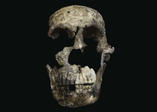 Did Homo naledi bury its dead? Debate rages over human relative