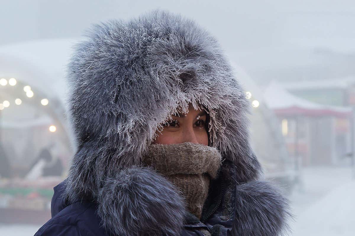 Coldest places (Yakutsk central market, Russia)