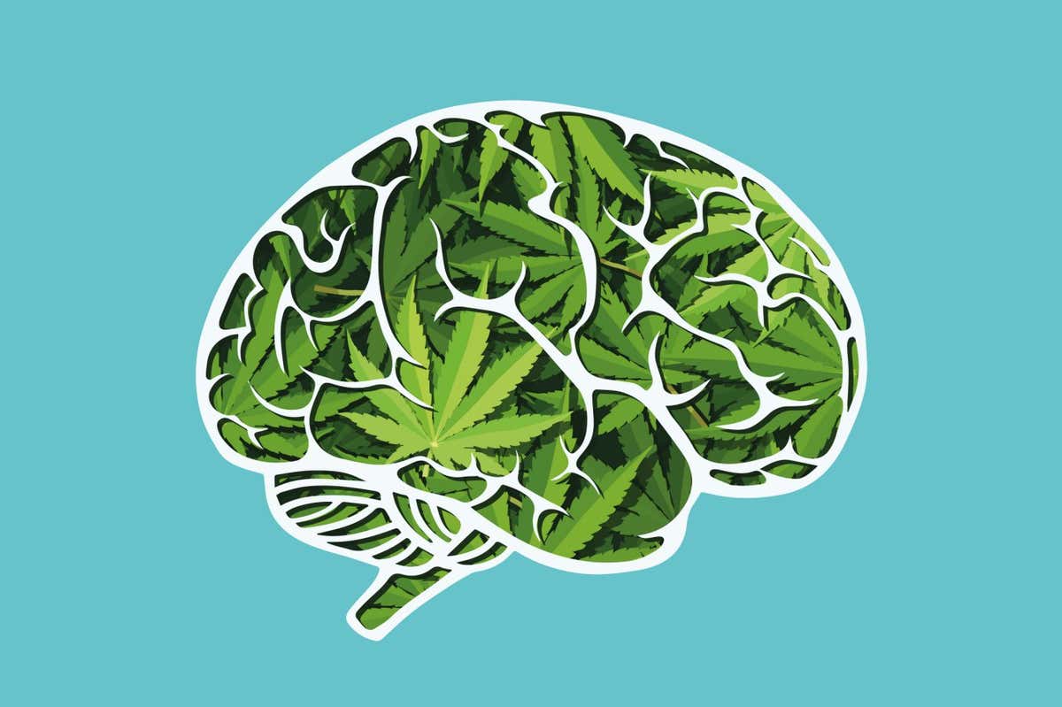 human brain made of marijuana leaves