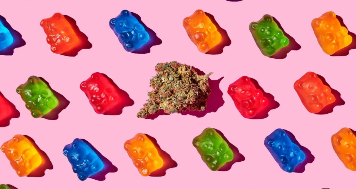 recreational marijuana with gummy bears on a pink background; Shutterstock ID 1649008399; purchase_order: -; job: -; client: -; other: -