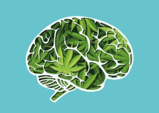 human brain made of marijuana leaves