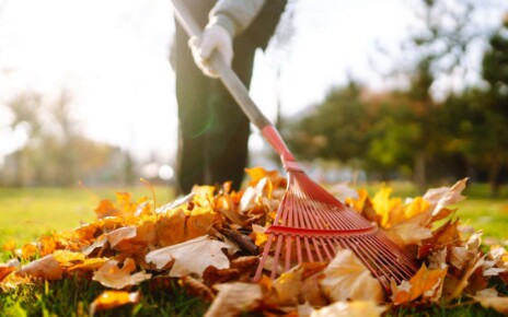 Rake with fallen leaves in autumn. Man cleans the autumn park from yellow leaves. Volunteering, cleaning, and ecology concept. Seasonal gardening.; Shutterstock ID 2026442297; purchase_order: -; job: -; client: -; other: -