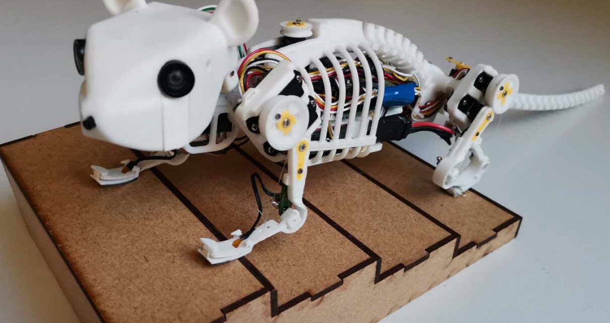 Robotic mouse with flexible spine moves with greater speed and agility