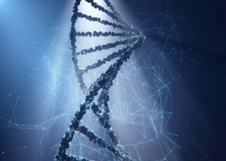 DNA nanobots can exponentially self-replicate
