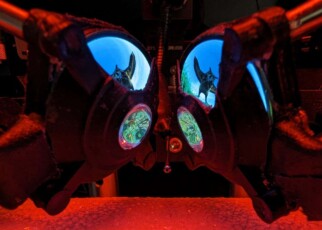 Scientists have invented virtual reality goggles for mice