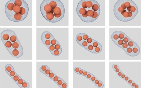 Sphere packing: Tiny balls fit best inside a sausage, physicists confirm