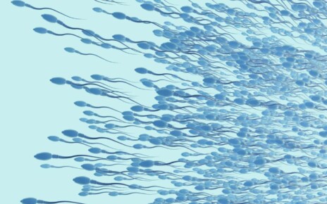 The laws of physics were broken in 2023 - by sperm