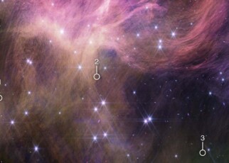 Possibly the smallest stars ever discovered