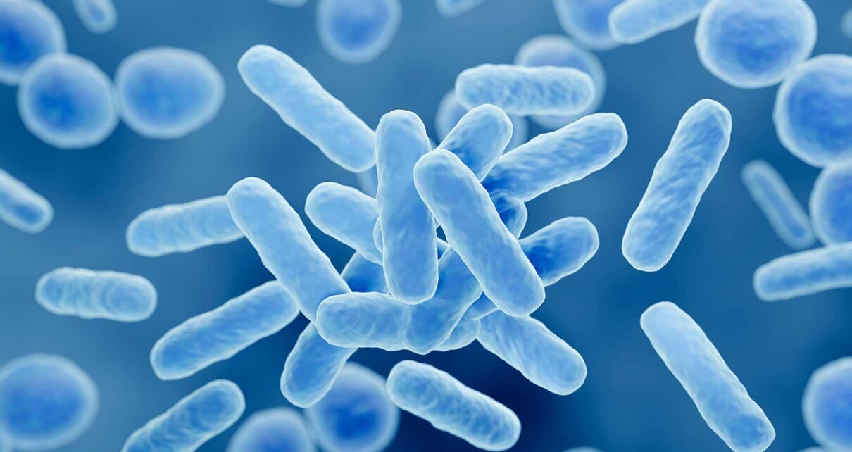 Probiotics helped reduce fatigue and memory loss from long covid