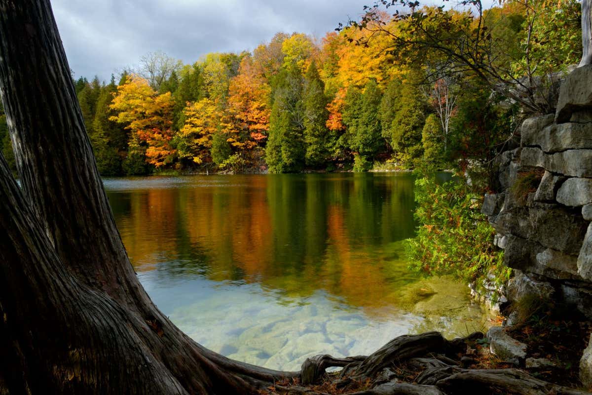 A0XHR7 Fall colored trees reflected off Crawford Lake Ontario Canada