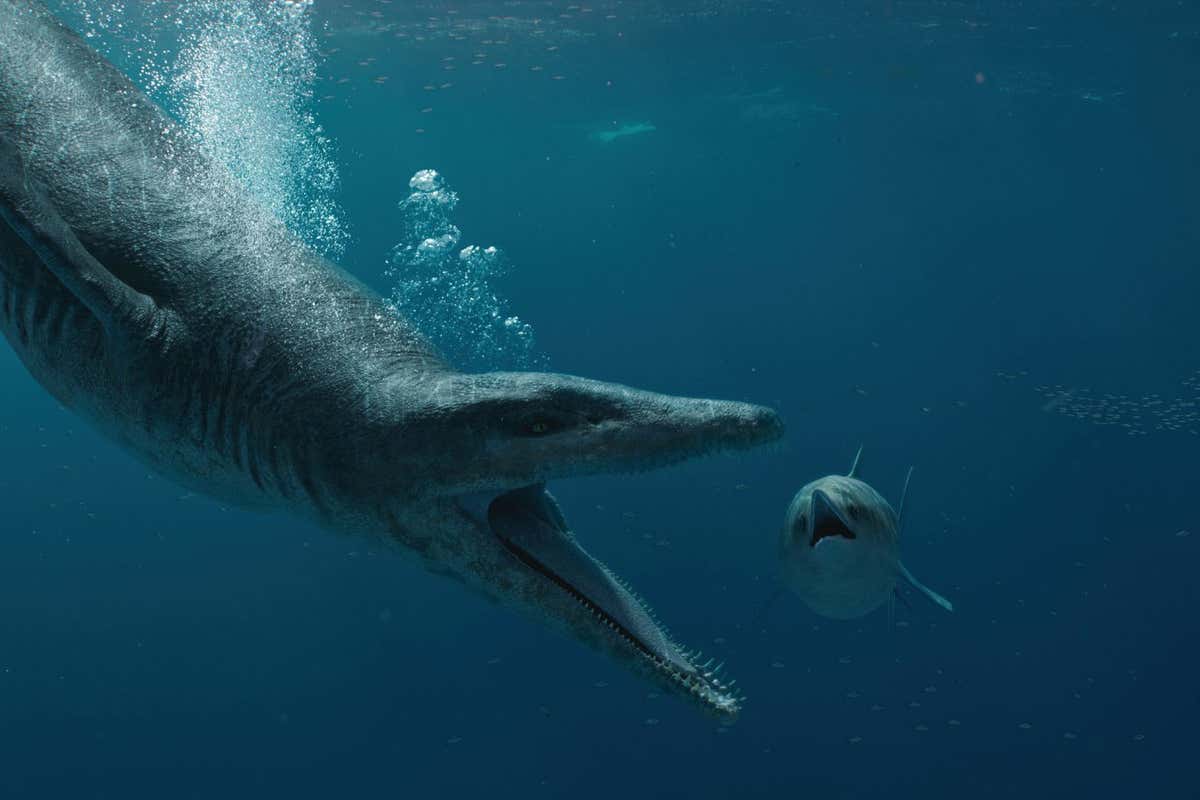 Attenborough and the Giant Sea Monster,01-01-2024,Pliosaur (giant sea monster) diving down, with jaws open, towards an ichthyosaur. **STRICTLY EMBARGOED NOT FOR PUBLICATION UNTIL 00:01 HRS ON MONDAY 11TH DECEMBER 2023** ,BBC Studios,Screengrab