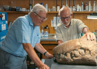 Massive pliosaur skull sheds light on ancient sea reptile