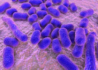 Membrane-destroying drug works against antibiotic-resistant bacteria