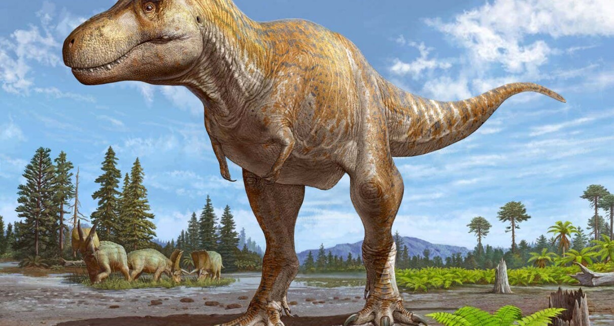 Early fossil identified as new species of Tyrannosaurus
