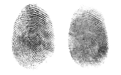 fingerprint or thumbprint set isolated on white