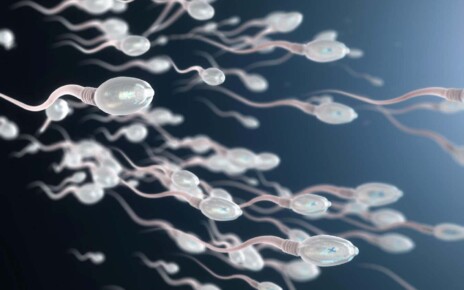 Male infertility: Why sperm counts are falling and what we can do to increase them