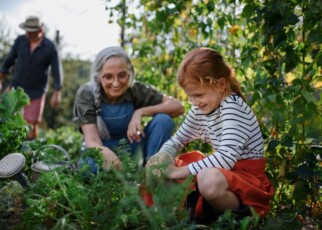 Grandmother and granddaughter in summer enjoy harvesting vegetables from home organic vegetable garden.