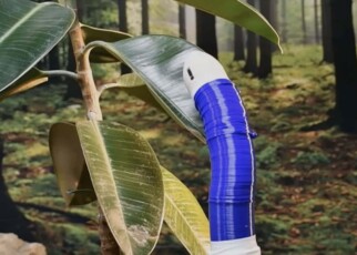 Watch a plant-inspired robot grow towards light like a vine