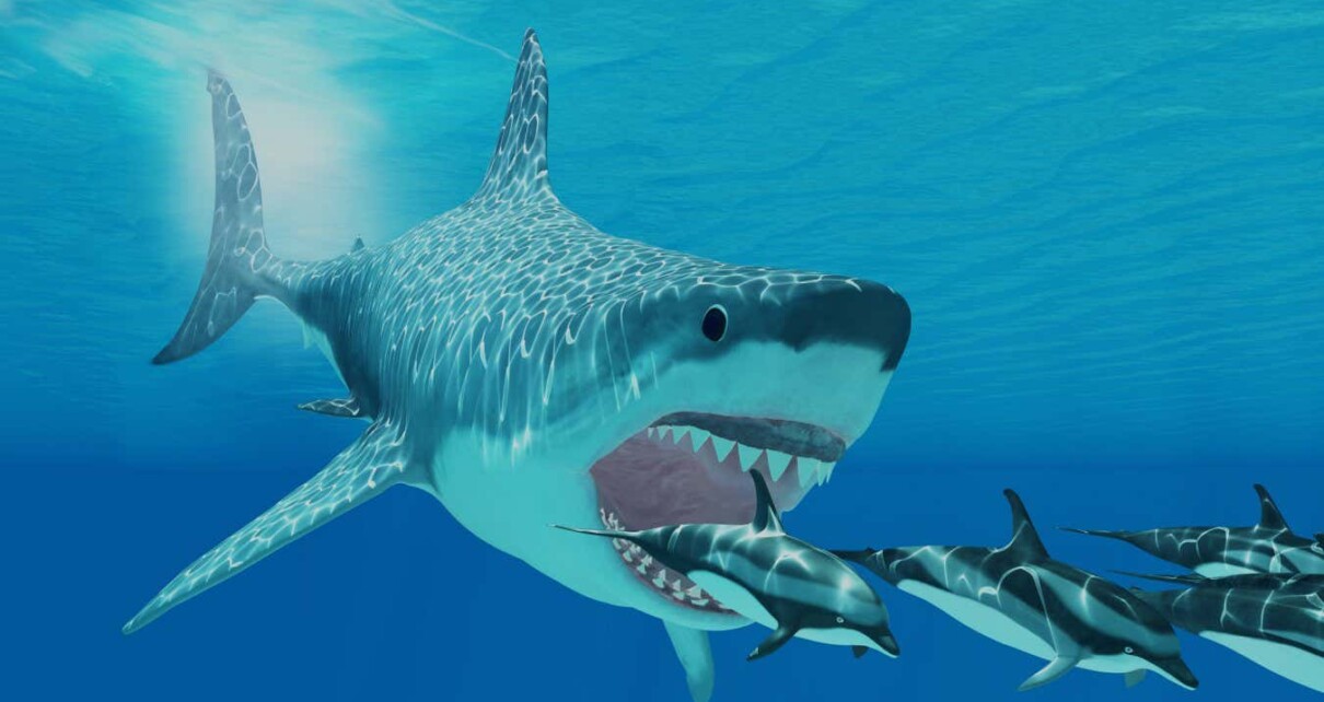 Megalodon was nothing like a giant great white shark