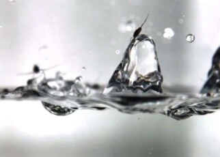 Stunning slo-mo videos show how insects survive raindrop collisions