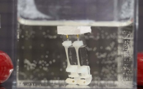 Watch a robot with living muscles walk through water