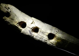 Mammoth tusk tool may have been used to make ropes 37,000 years ago