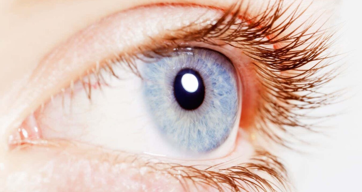 Blue eyes may be better for reading in dim light than brown eyes