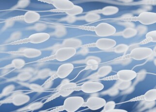 Blasting sluggish sperm with ultrasound waves gets them moving