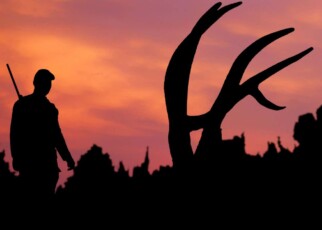 Does trophy hunting actually help animal conservation?