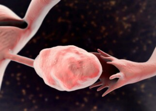 'Useless' appendage of the ovaries may play key role in fertility