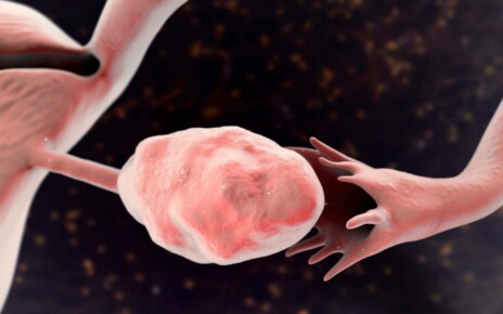 'Useless' appendage of the ovaries may play key role in fertility