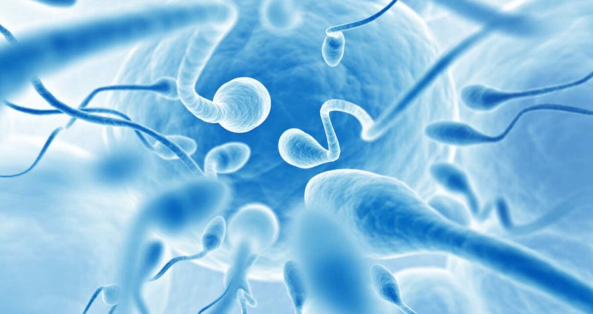 Relatives of men with fertility issues may be at higher risk of cancer