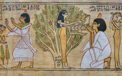 Wasabi could help preserve ancient Egyptian papyrus artefacts