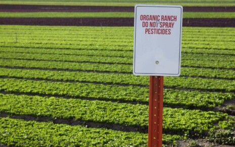 Organic farms trigger more pesticide use on nearby conventional farms