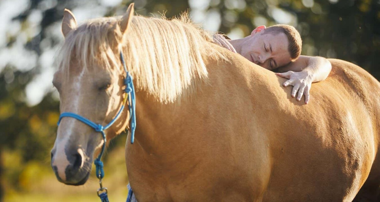 Horses used in therapy often avoid people if they are given a choice