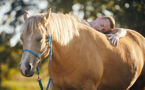 Horses used in therapy often avoid people if they are given a choice