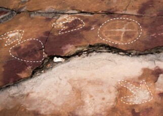 Ancient people carved mysterious symbols near dinosaur footprints