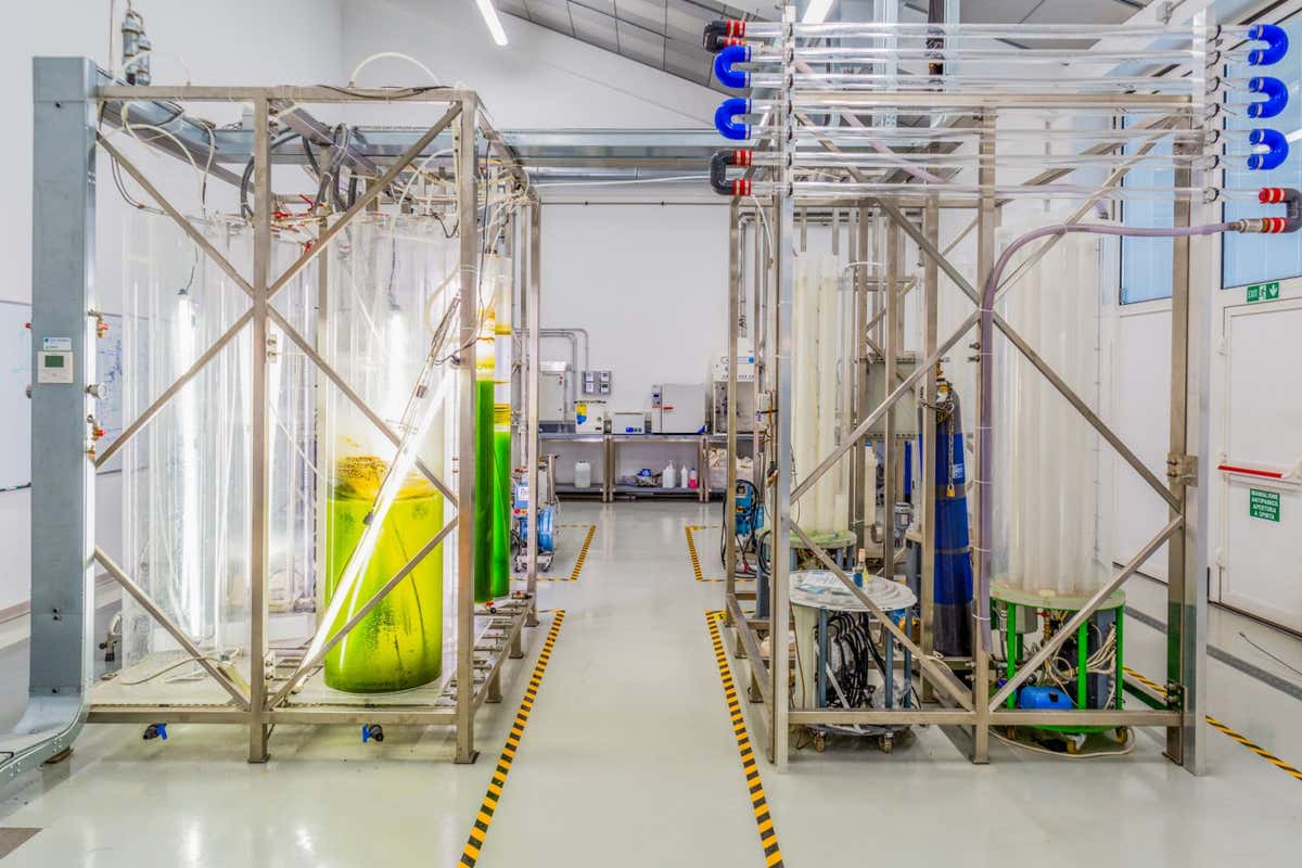 The main laboratory of the Green Propulsion Lab of the Veritas Group, an advanced multidisciplinary platform for the development of green chemistry technologies, bioenergy production, innovative decarboning processes and the construction of third generation biorefineries with a view to the green reconversion of the industrial center of Porto Marghera.