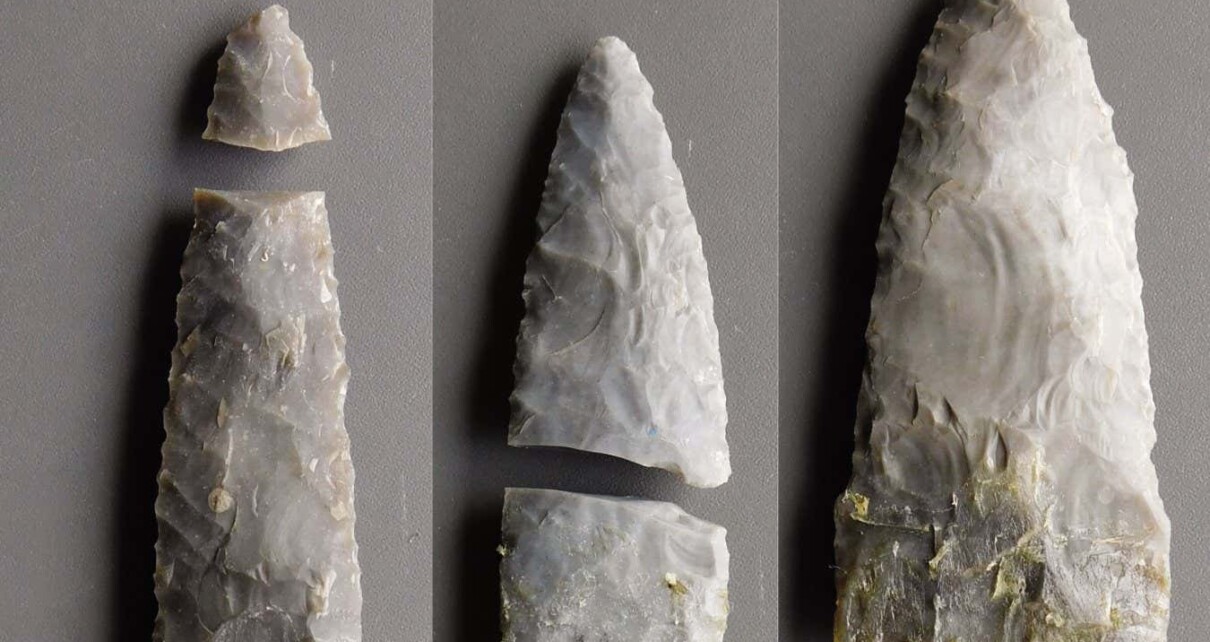 Stone Age blades could have been used for butchery, not just hunting
