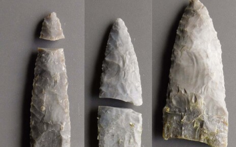 Stone Age blades could have been used for butchery, not just hunting