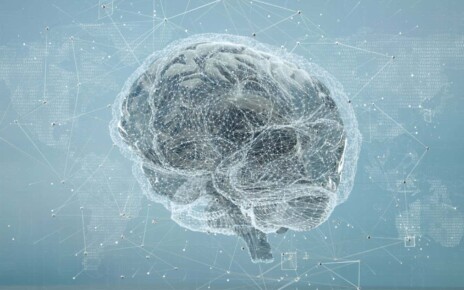 Digital Human Brain Covered with Networks