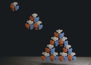 Fractal pattern identified at molecular scale in nature for first time