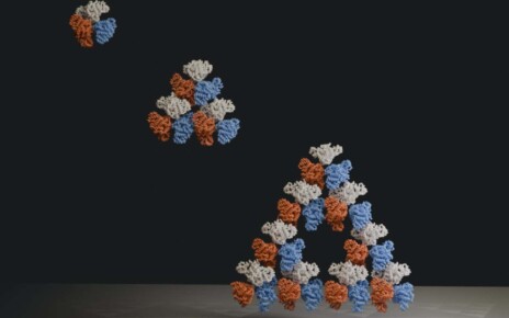 Fractal pattern identified at molecular scale in nature for first time